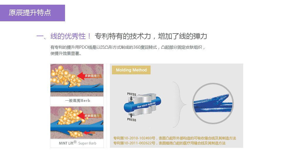 高弹力WINT提升技术