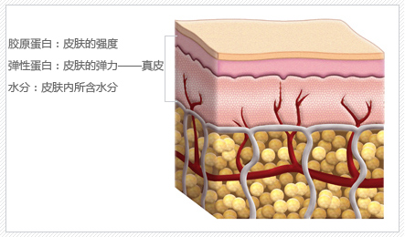 韩式吸脂减肥的价格多少