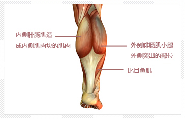 韩国小腿吸脂手术的费用